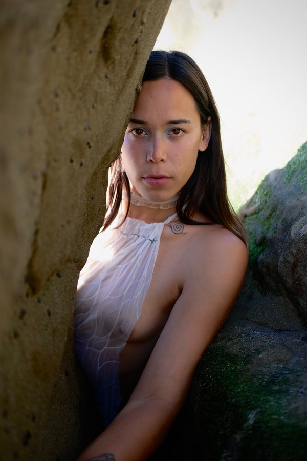 hamsa fae