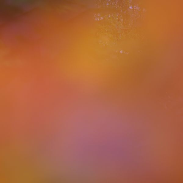 Between the Sea & Sky 12