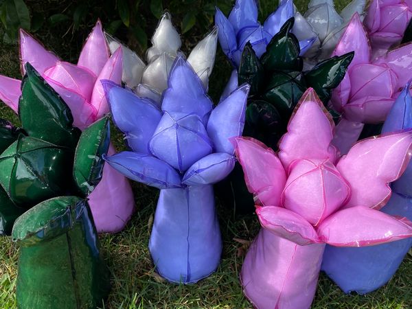 The Garden of Things to Keep You Company