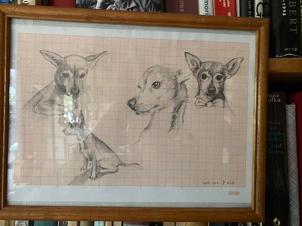 Little Dog Graphed