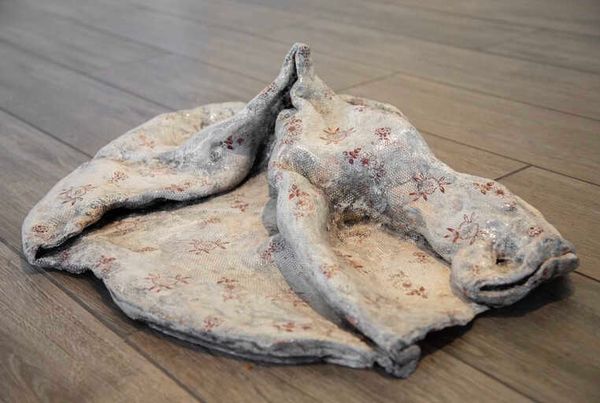 Untitled-petrified fabric