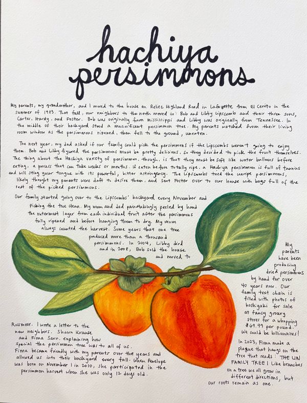 Hachiya Persimmons