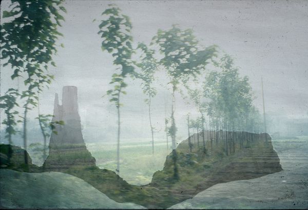queer landscape 5