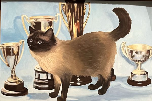 Best In Show