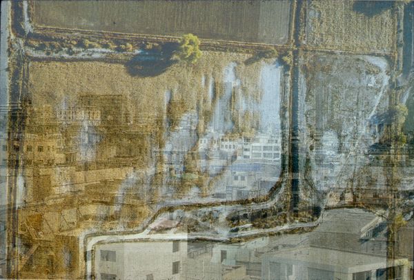 queer landscape 2