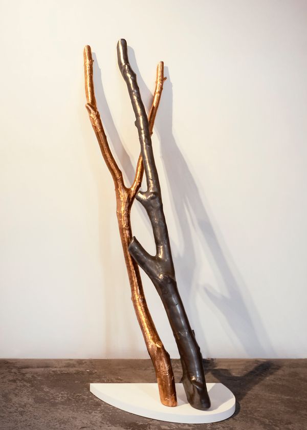 Graphite and Copper Limbs
