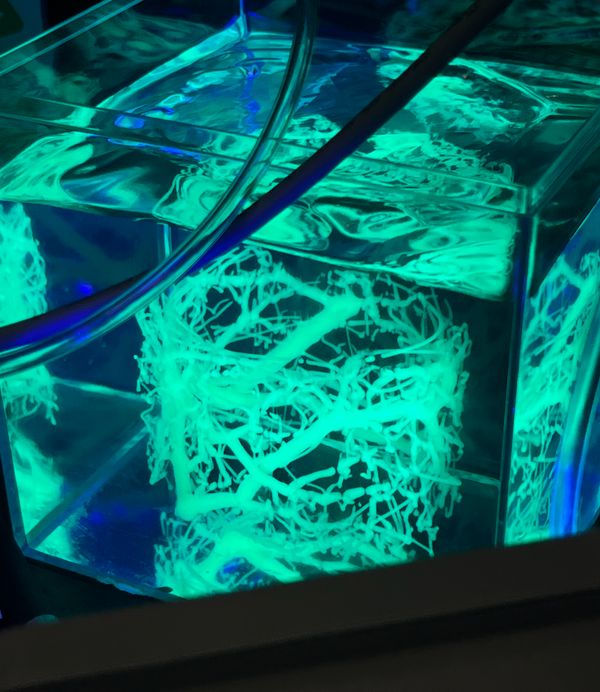 emergent vessel iii