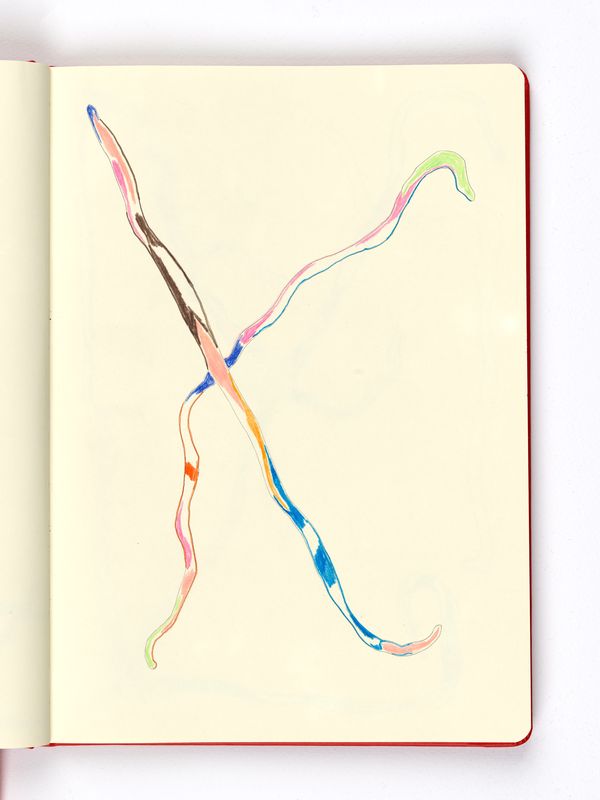 Worm Drawing, Crossing