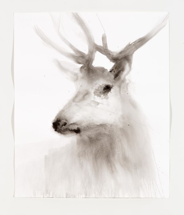 The Deer #11