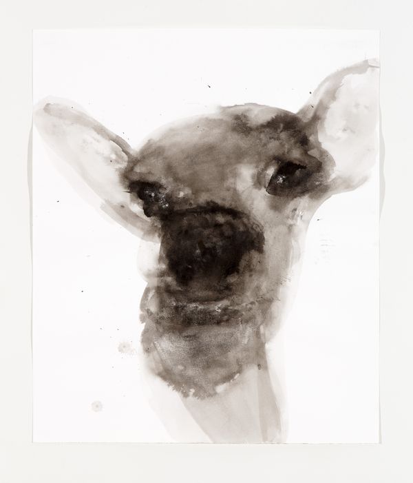 The Deer #3