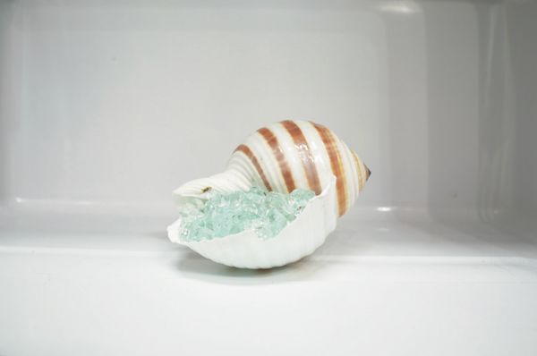 After Seashells: Climate Control