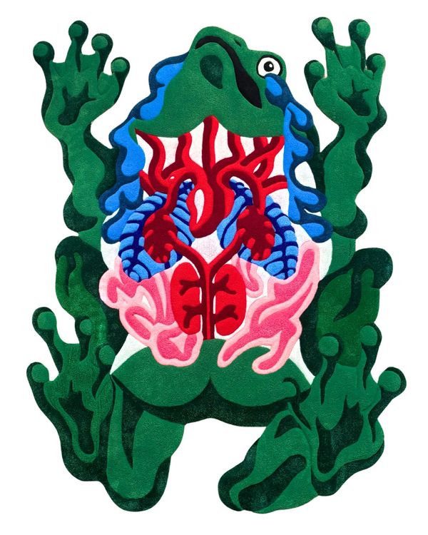 Frog Splayed
