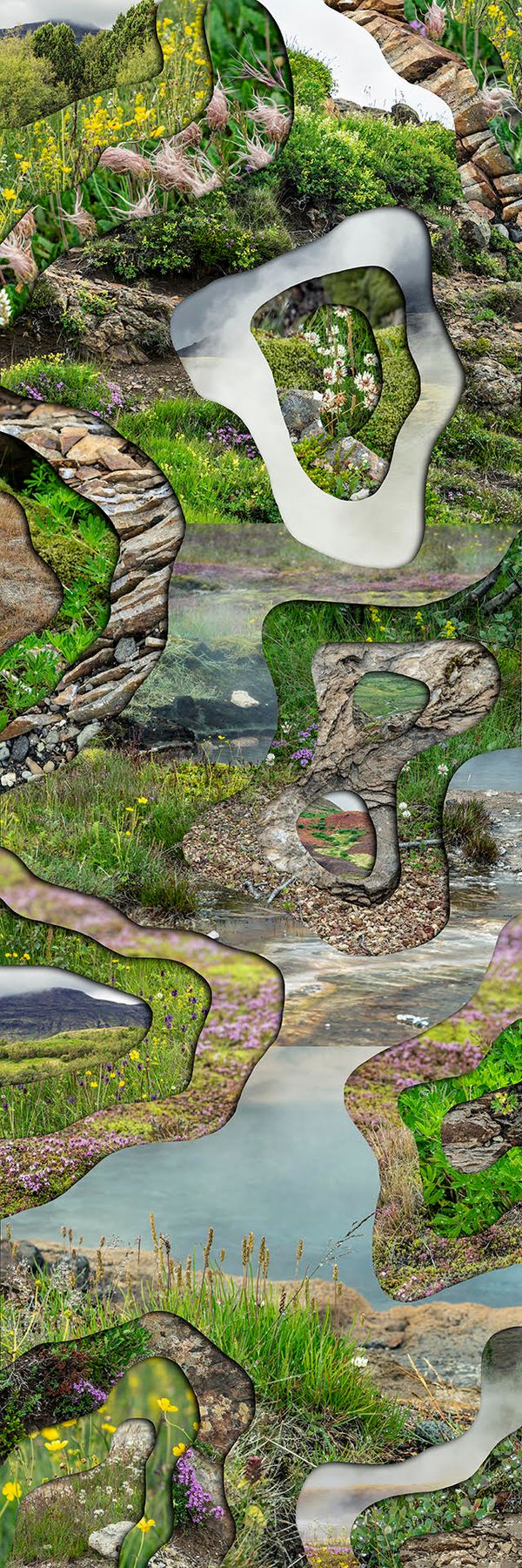 Topographic Study XXXVII
