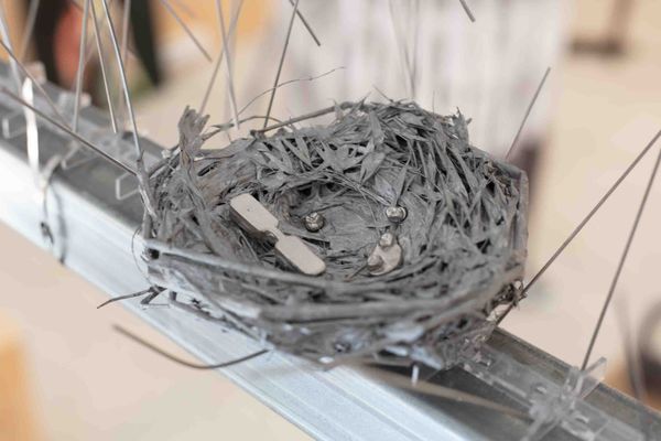 untitled (moving worms from pavement to hot soil)