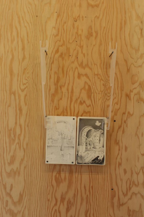 Diptych: a.) The secrets of the Flowers of Refinement & b.) Growth in all of its forms of destruction